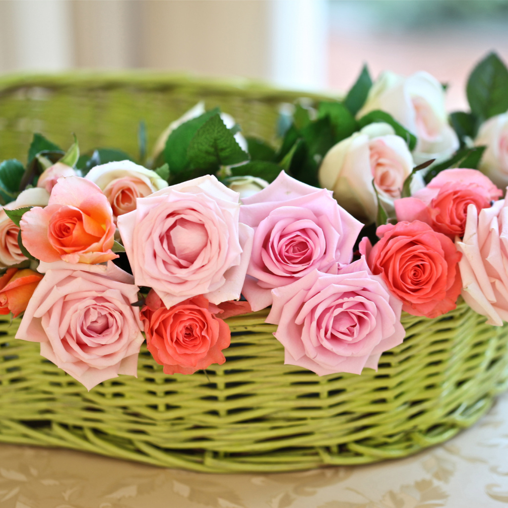 Цветы розы в корзине