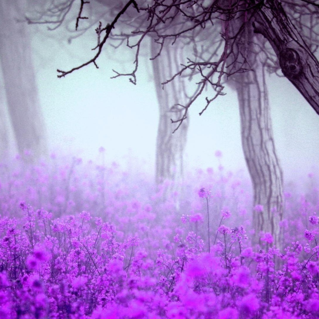 Лесные цветы