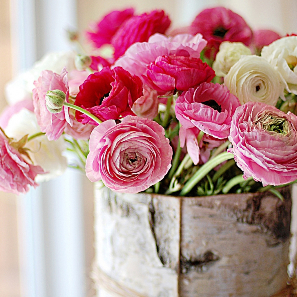 Живые цветы пионы