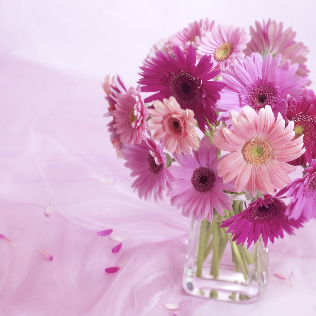 Композиция из цветов герберы 