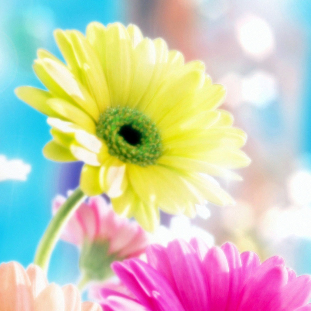 Гламурные цветы