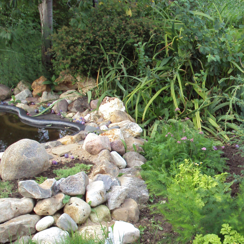 На поляне красивая альпийская горка