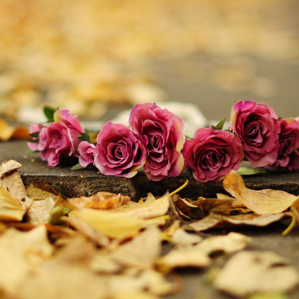 Возложеные цветы