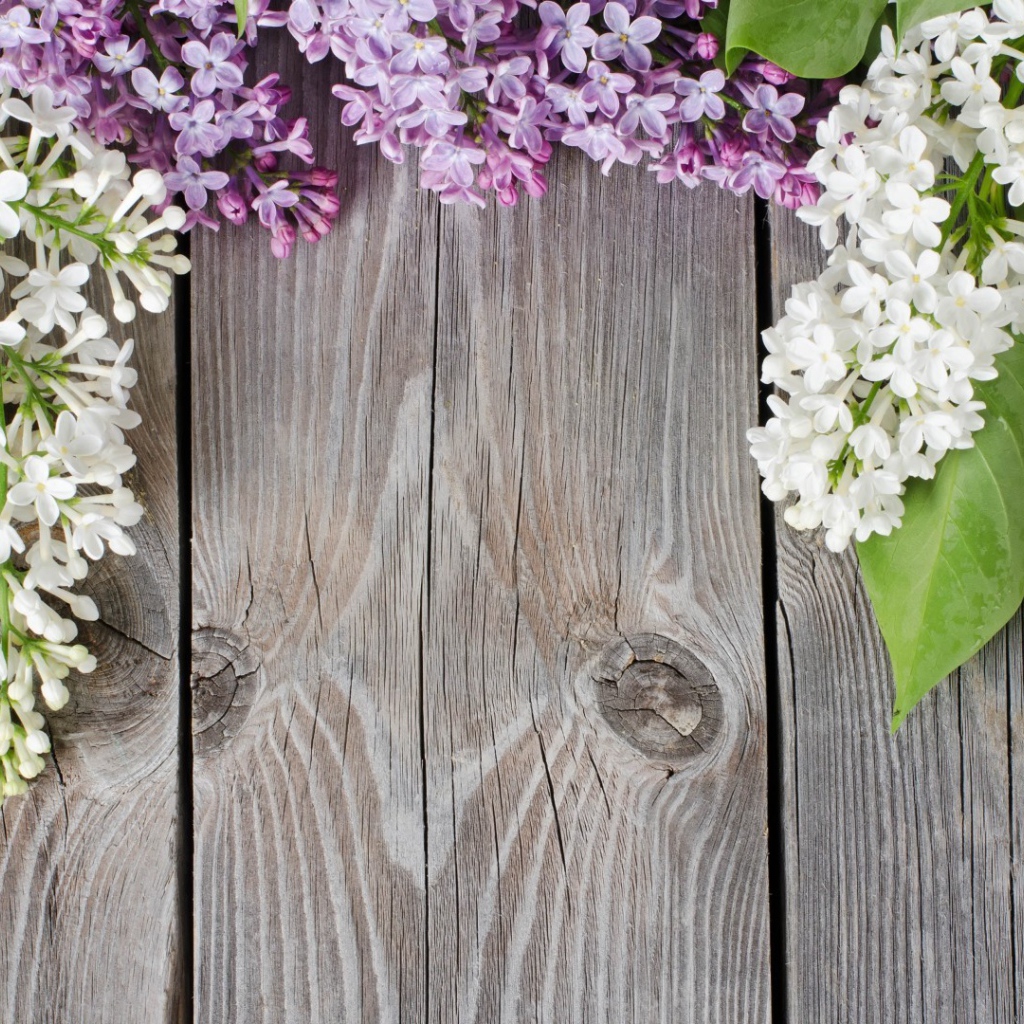 Сирень на досках