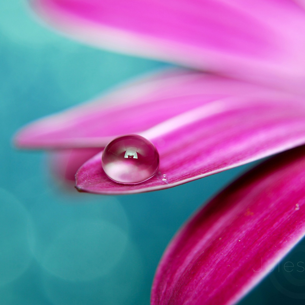 Идеальная роса