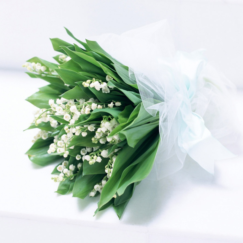 Чистые духи