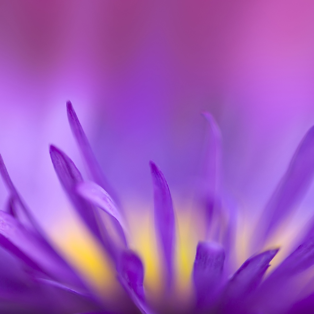 Фиолетовое пламя