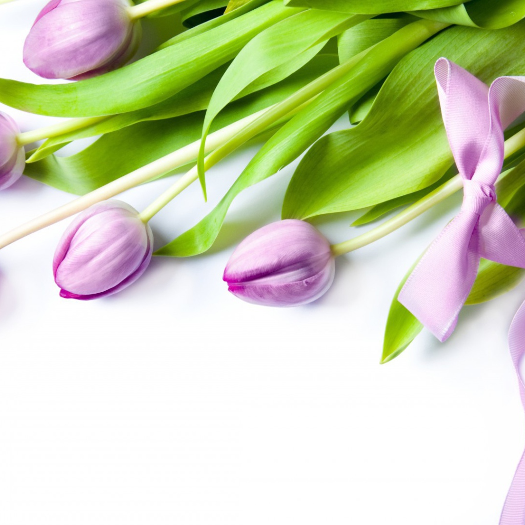 Фиолетовые цветы с бантом