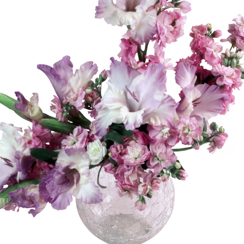 Сиреневые гладиолусы в вазе