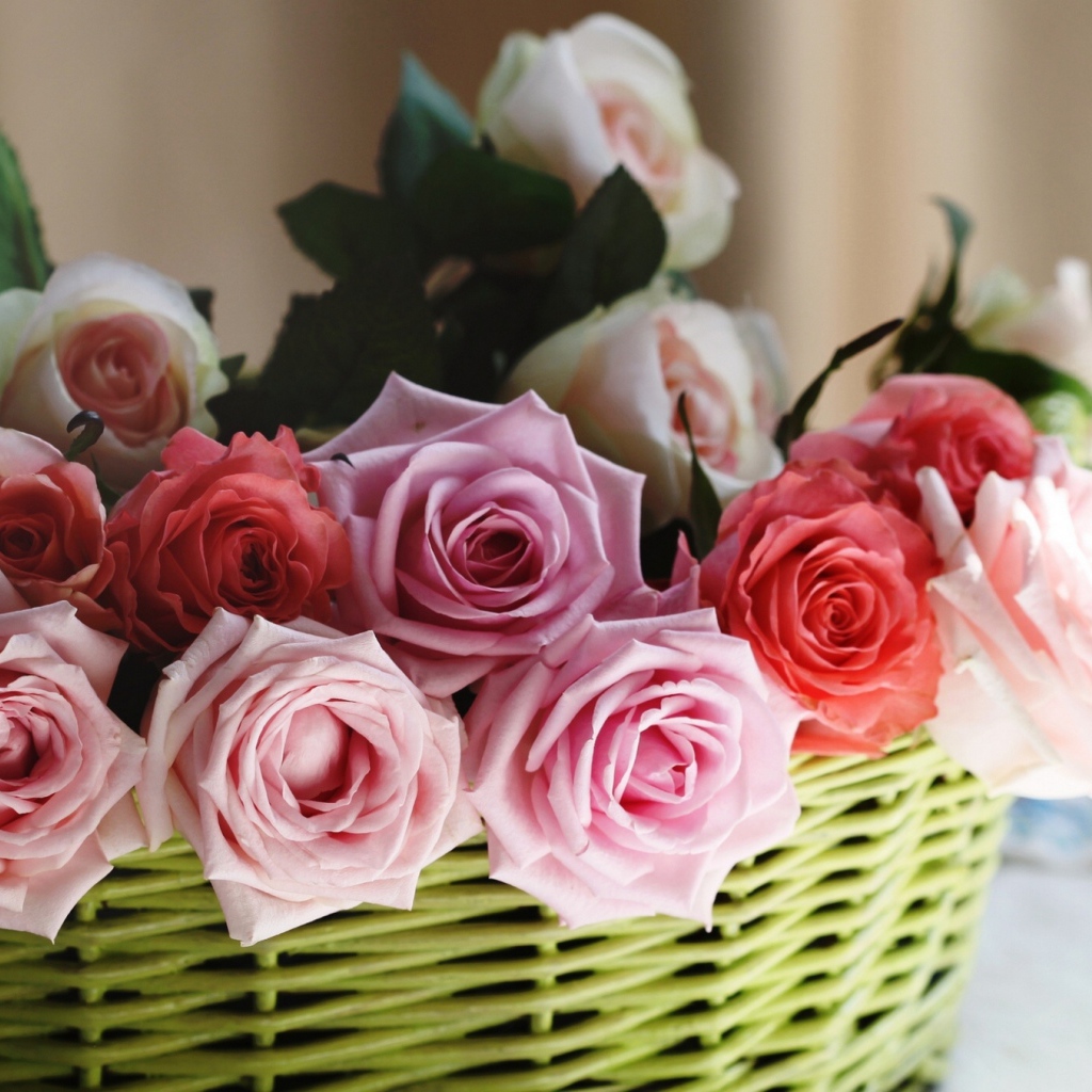 Розы в корзине