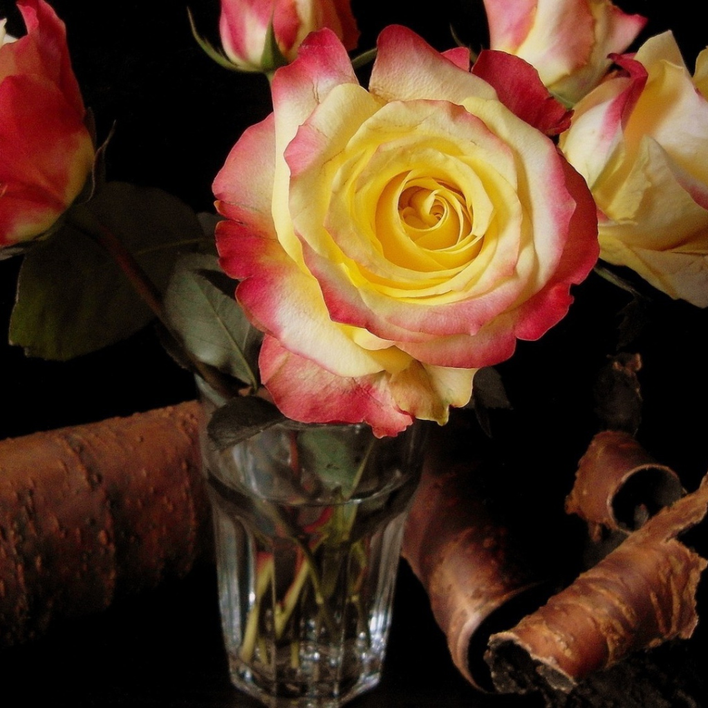 Розы в стакане