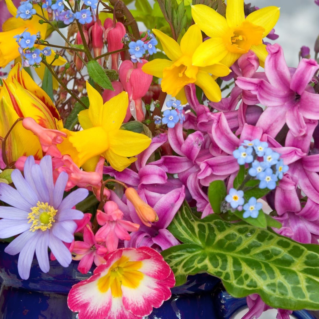 Цветы из весеннего сада