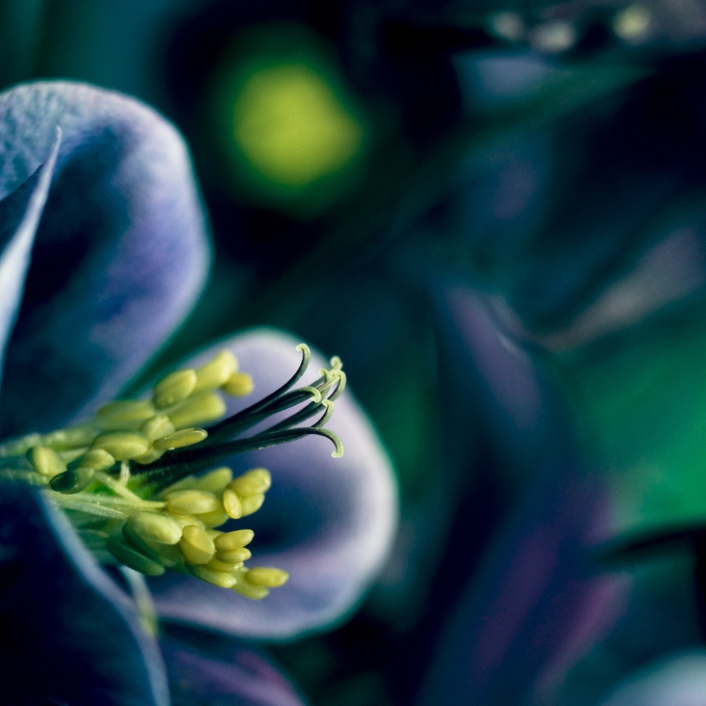 Время весны