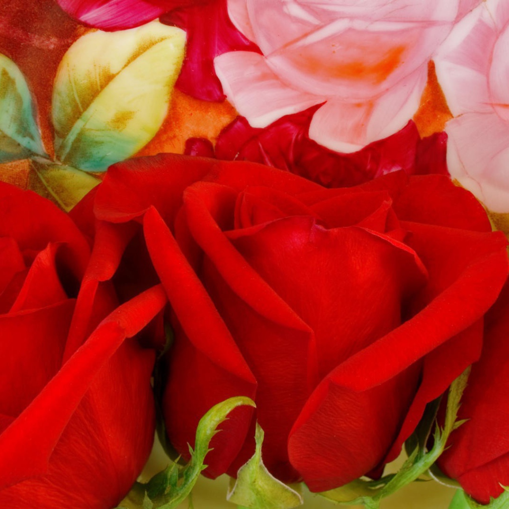 Три красных розы