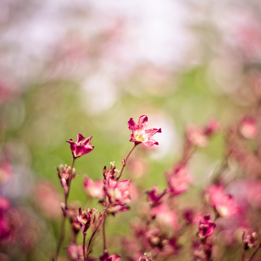 Колебания ветра