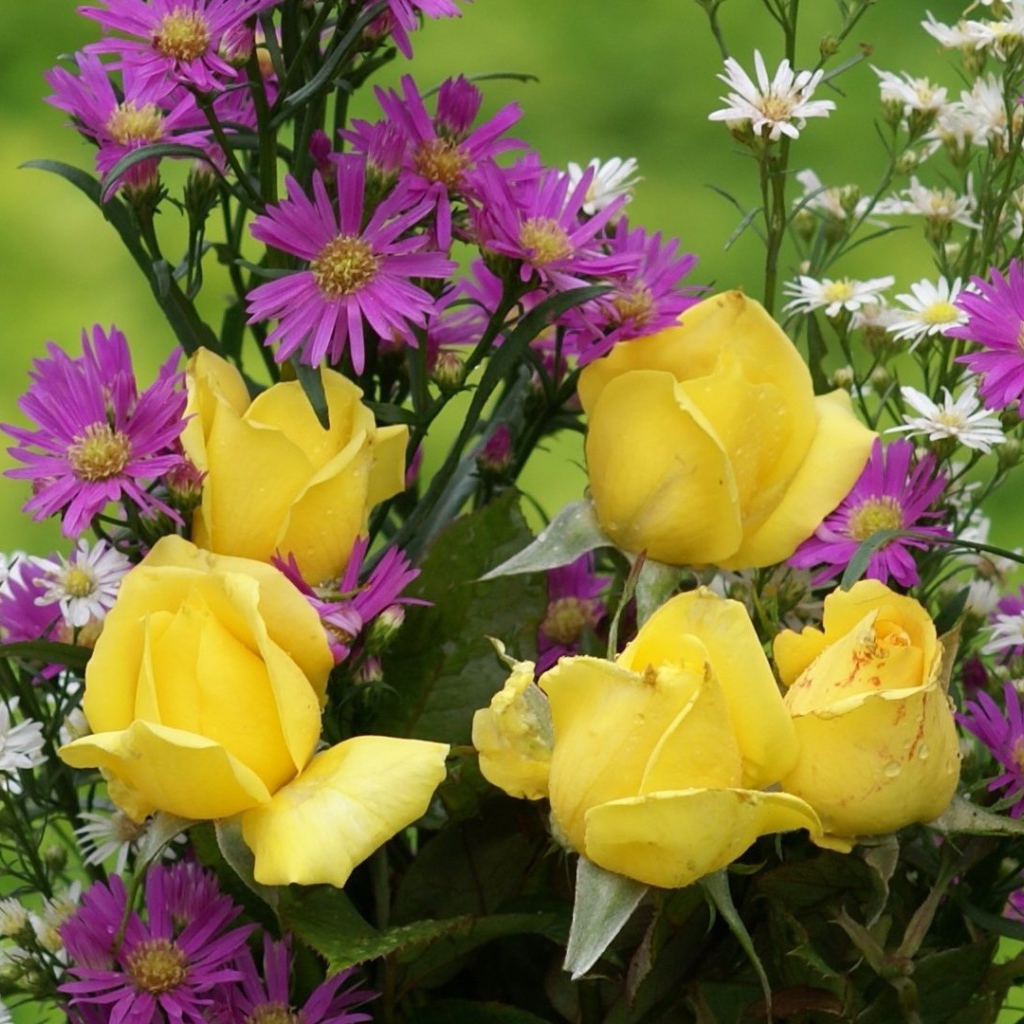 Жёлтые розы и другие цветы в букете