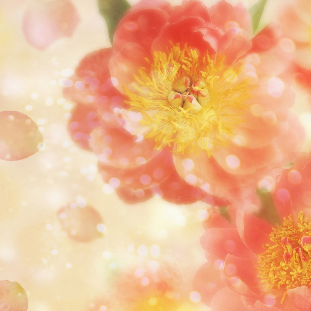 Летящие лепестки