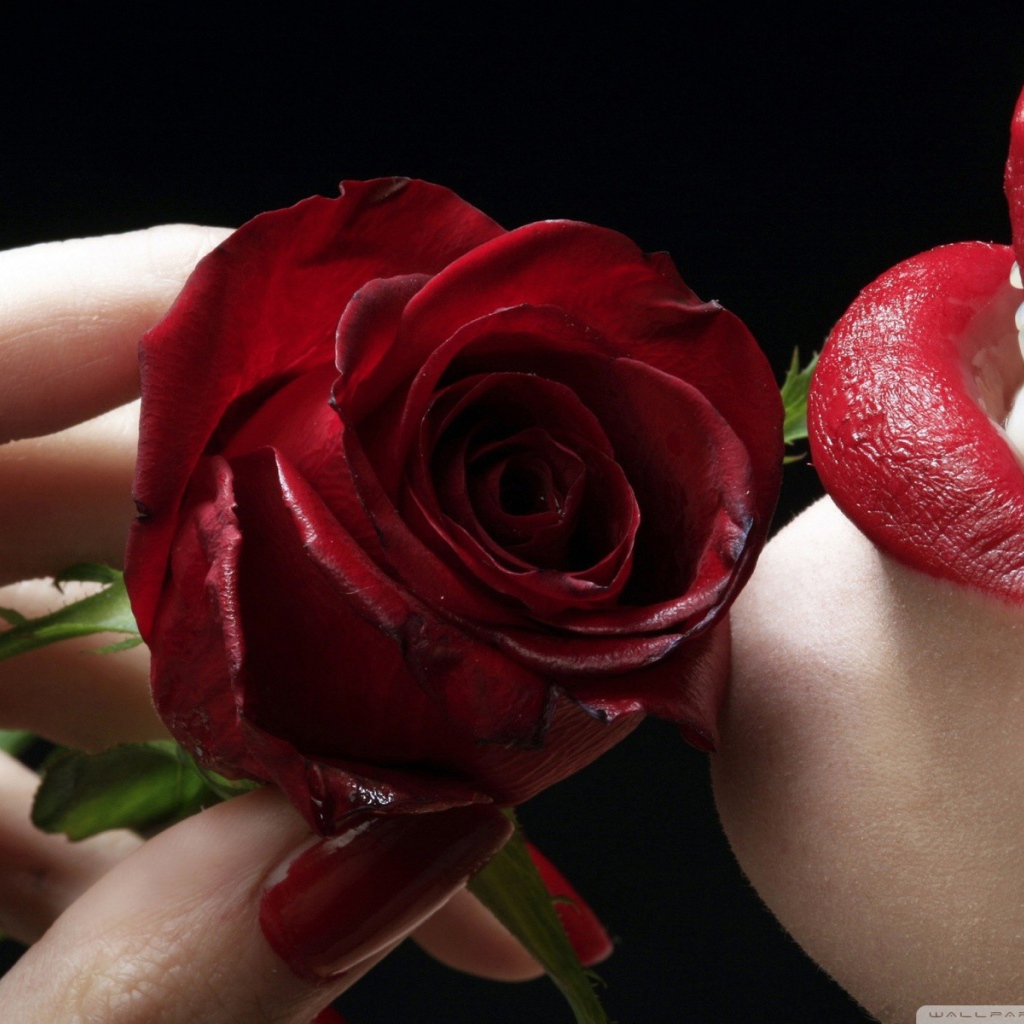 Губы и красные лепестки розы