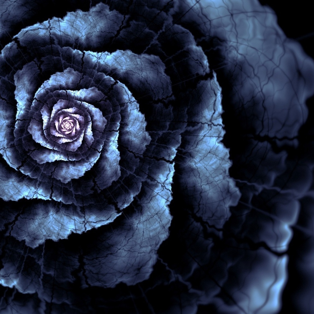 Абстрактный цветок роза