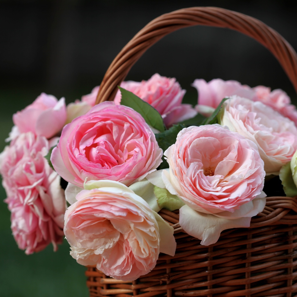 Корзина розовых цветков
