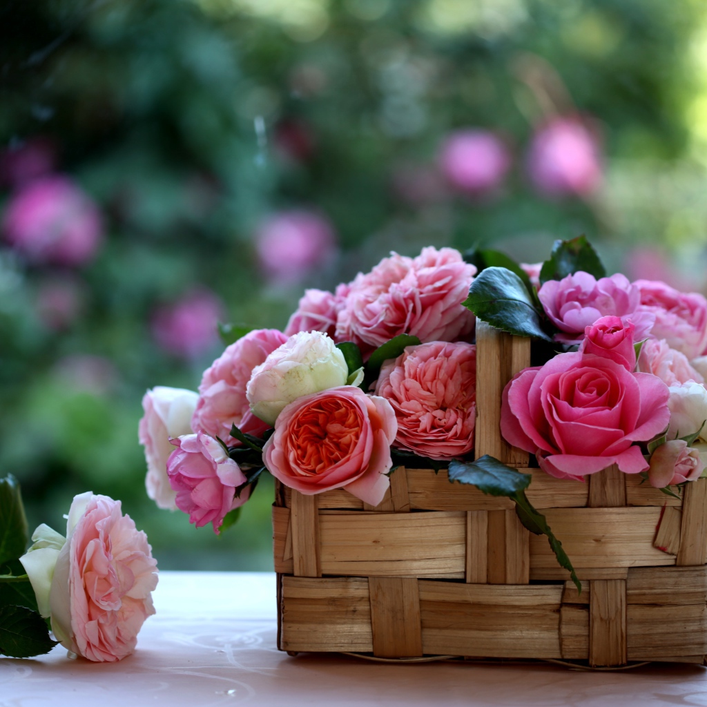 Корзина с розами