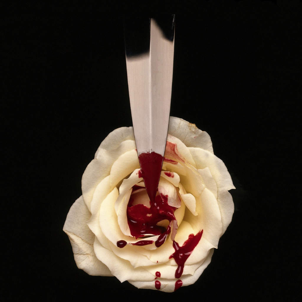 	   Blood on the white rose