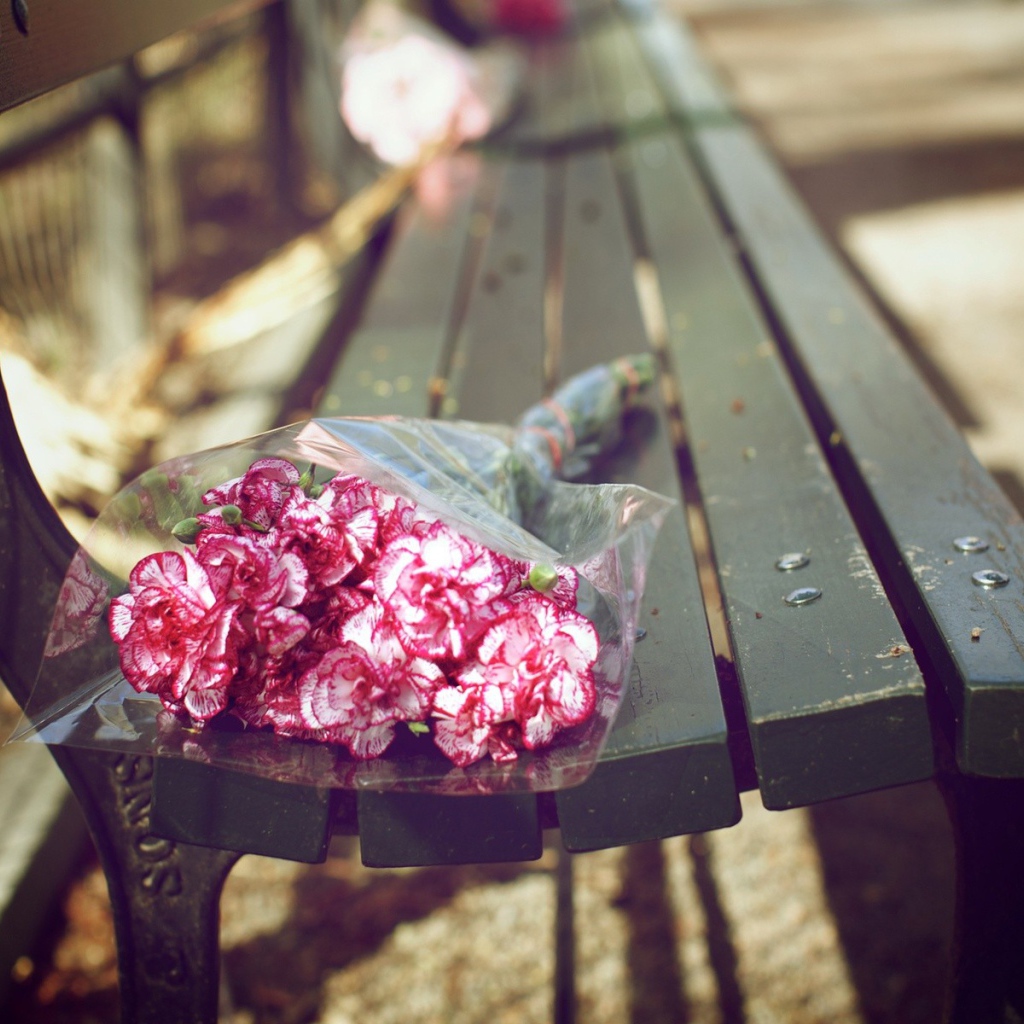 Букет гвоздик на скамейке