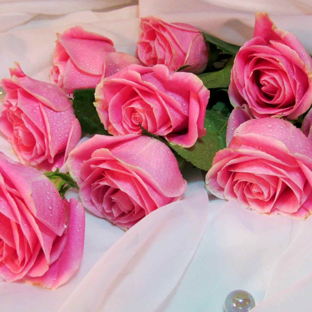 Букет роз на белом одеяле