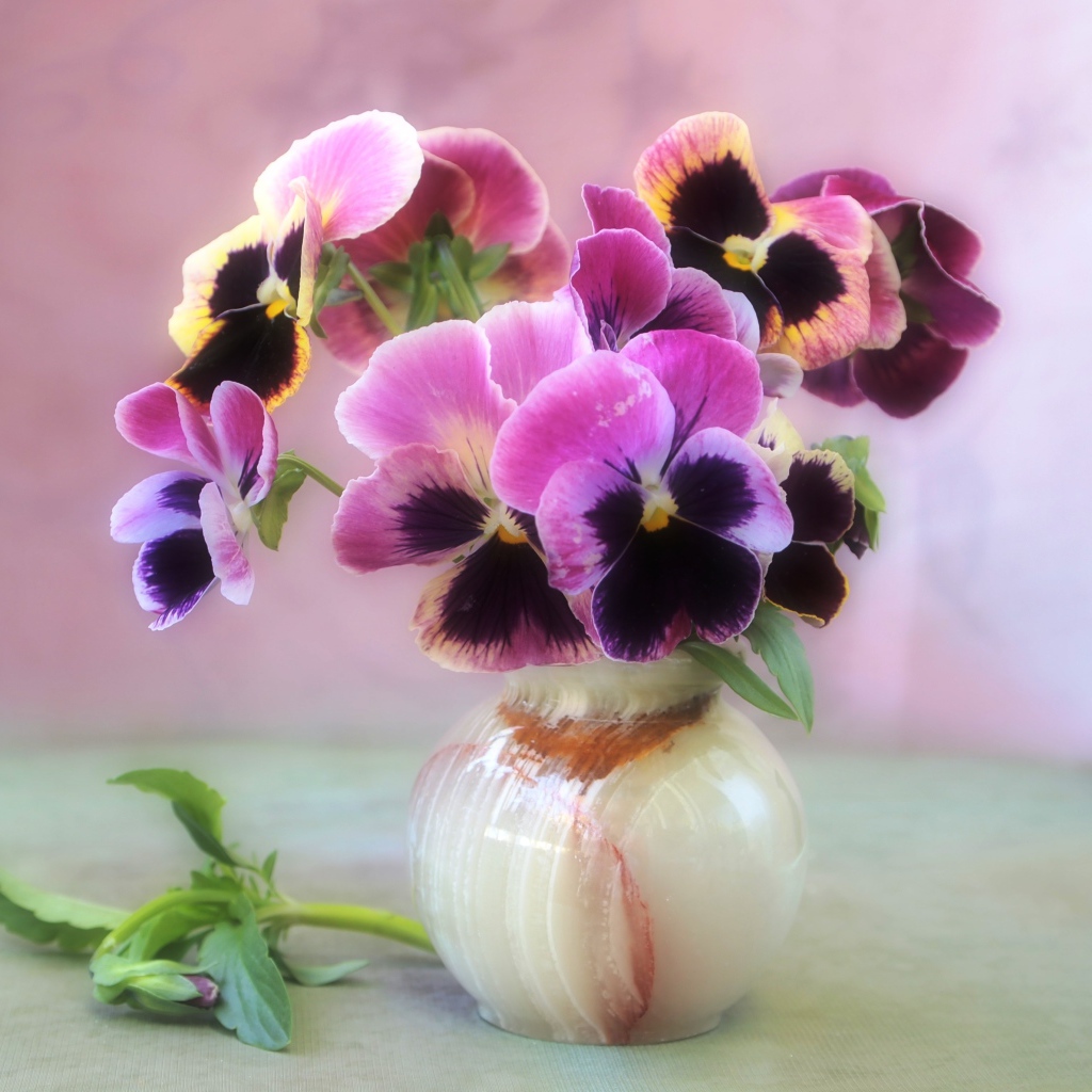 Букет фиалок