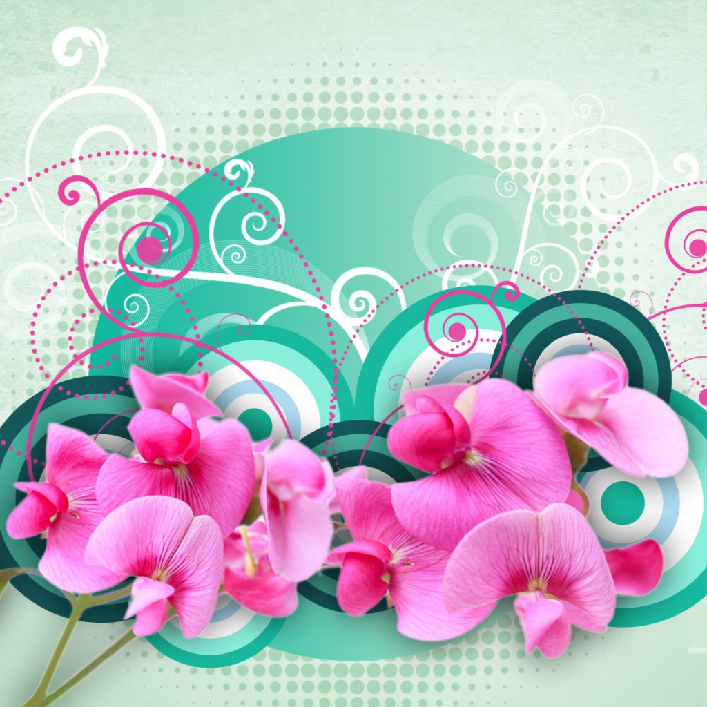 Рисунок с орхидеями