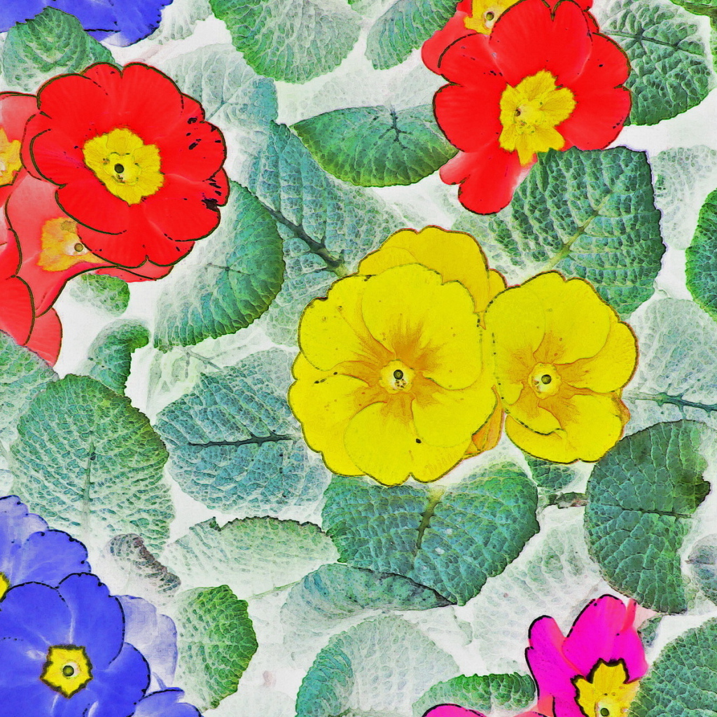 Цветочные обои