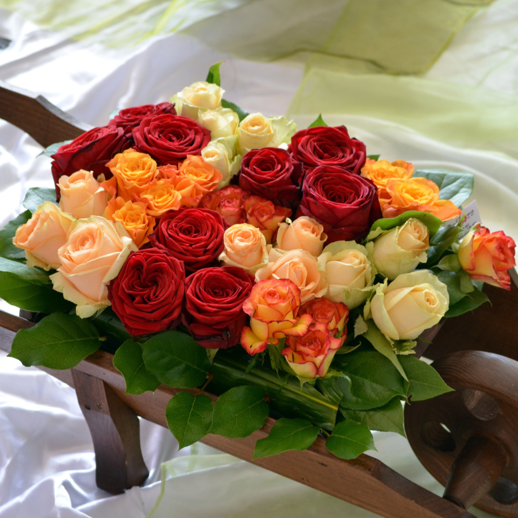 Разноцветные розы на тачке