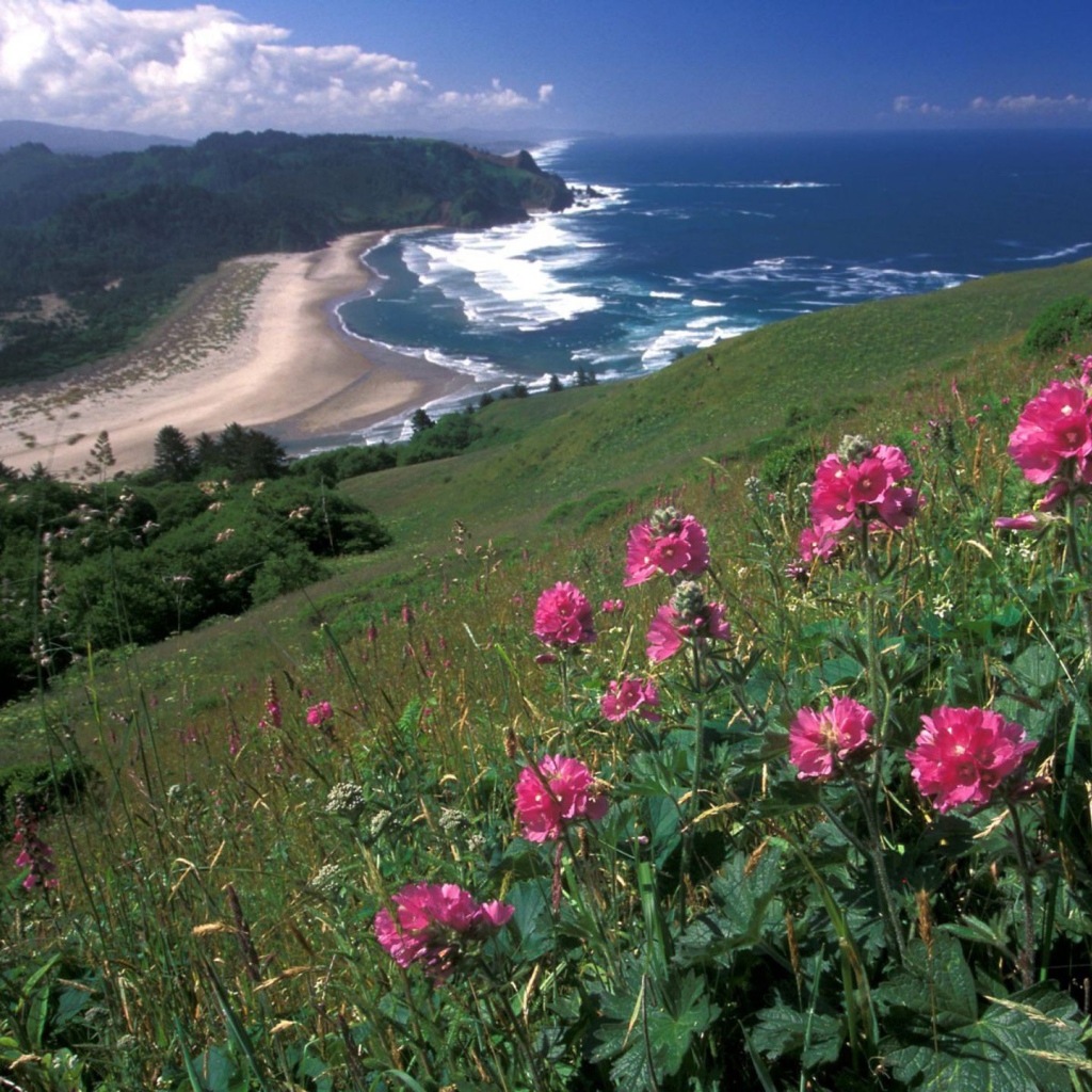 Вид на море с горы