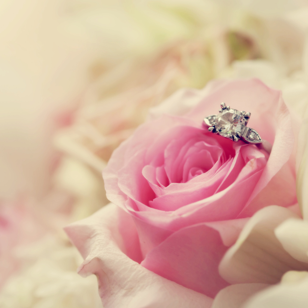 В розе лежит кольцо