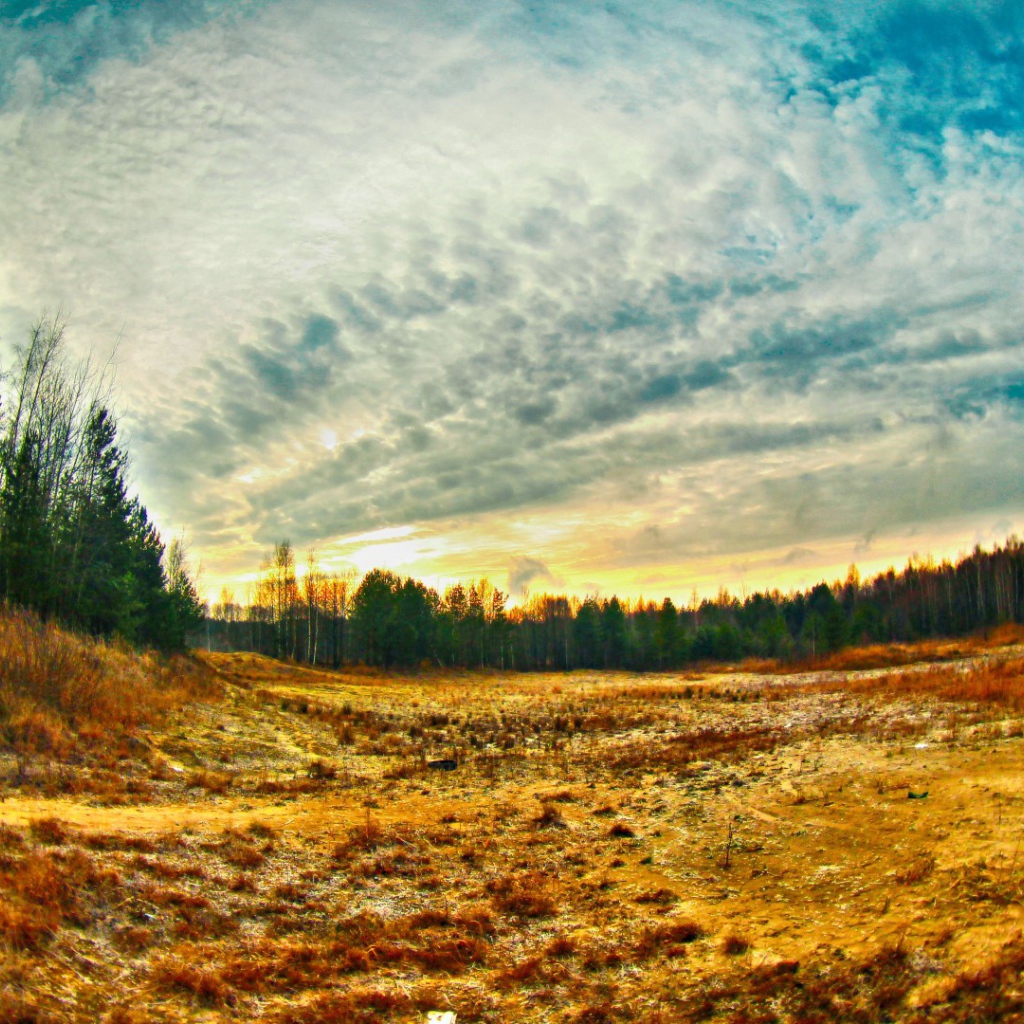 Просека в лесу