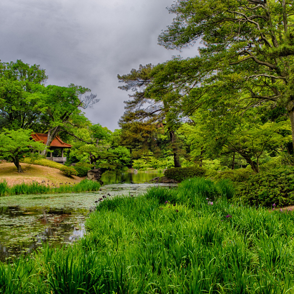 Домик в лесу