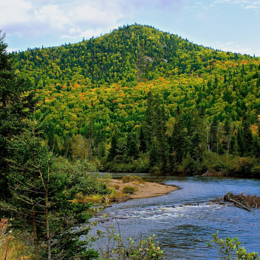Гора покрытая лесом