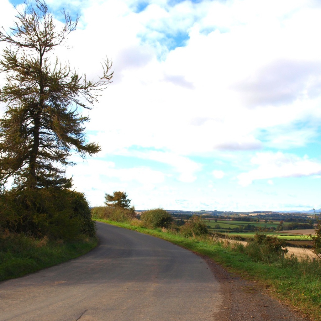 Крутой поворот дороги