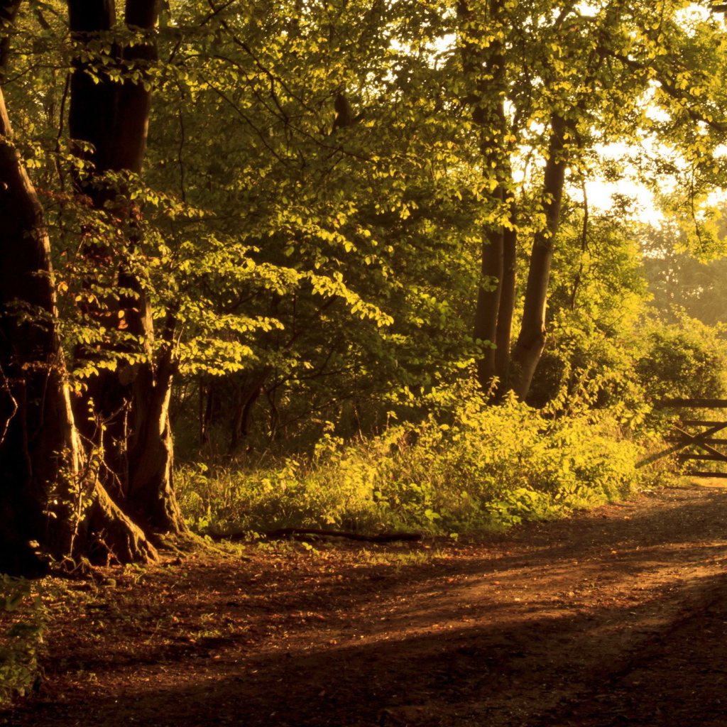 Забор на дороге