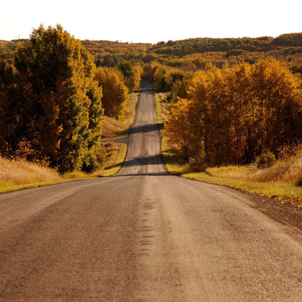 Пейзаж у дороги