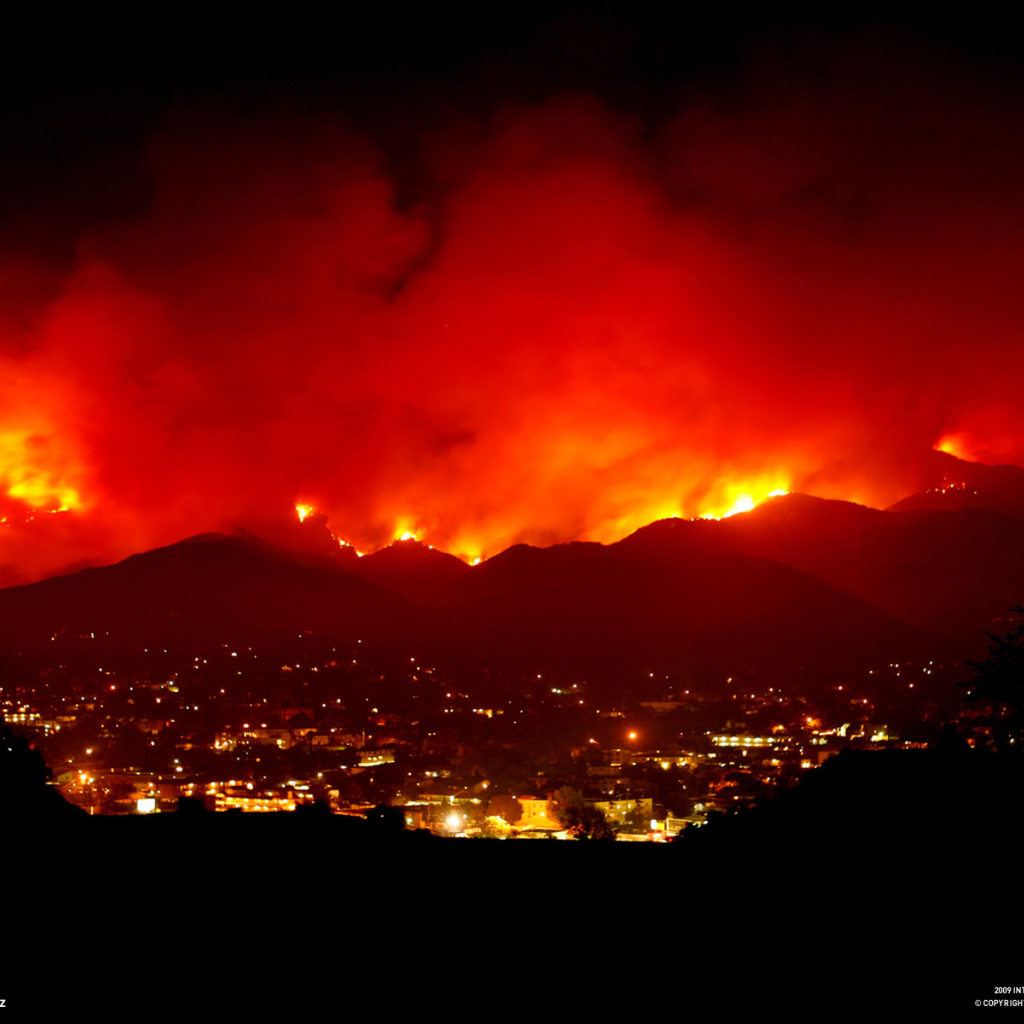 Лесной пожар