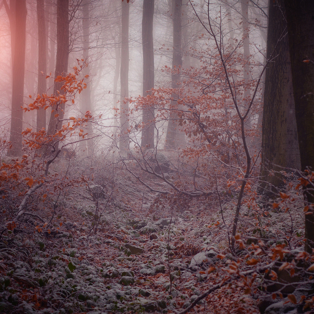 Поздняя осень