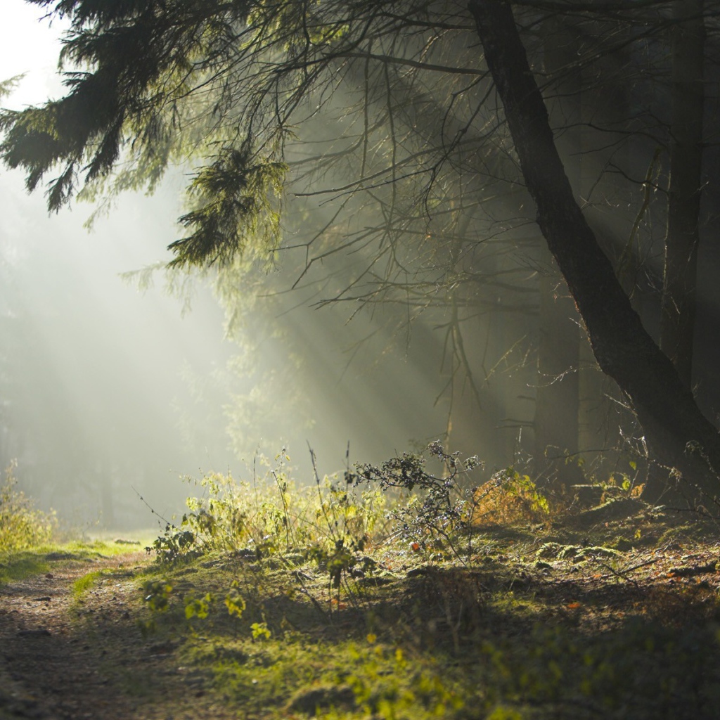 Шведский пейзаж