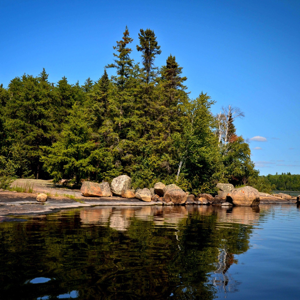 Поросший лесом остров