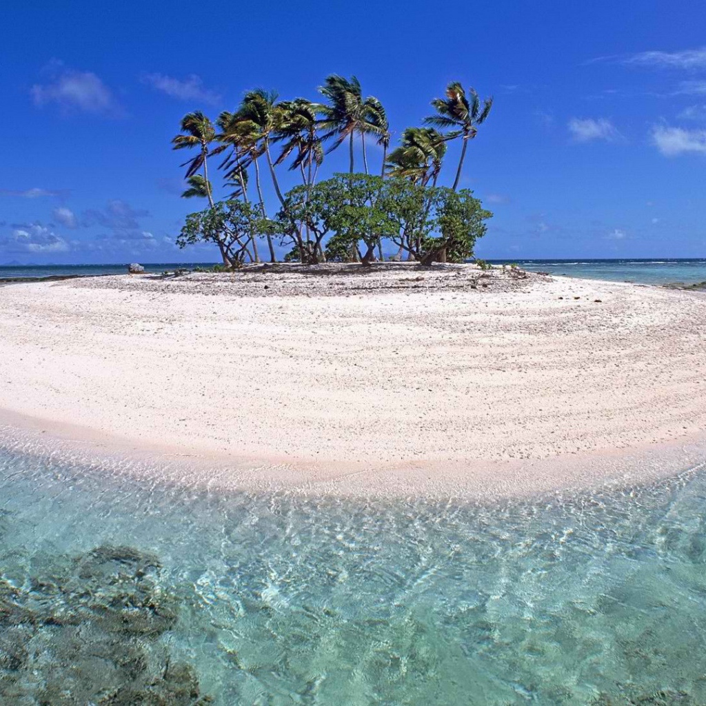 Маленький остров с деревьями