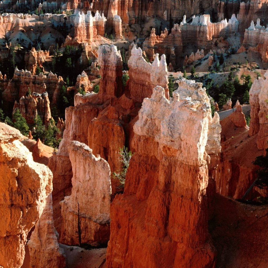 Каньон Брюс