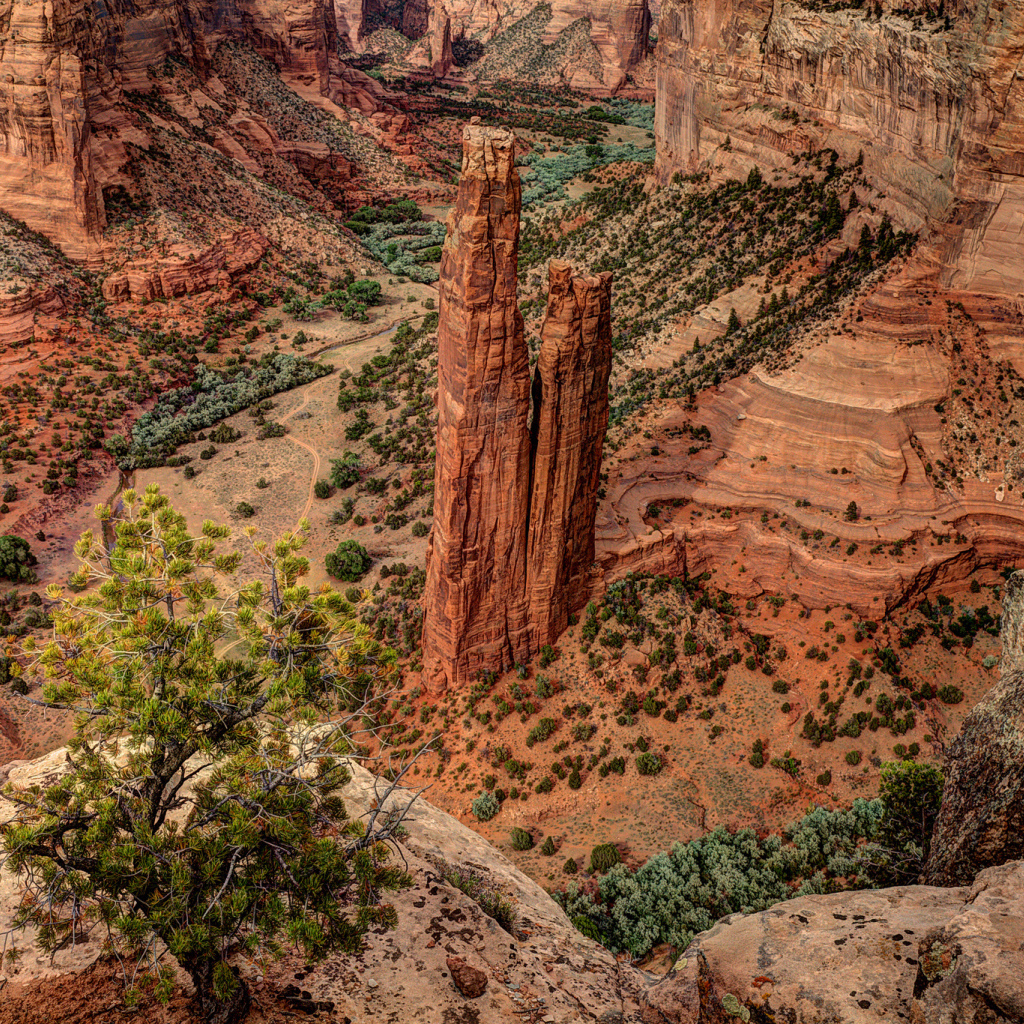 Каньон в США