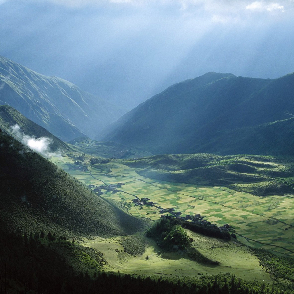 Поле в долине