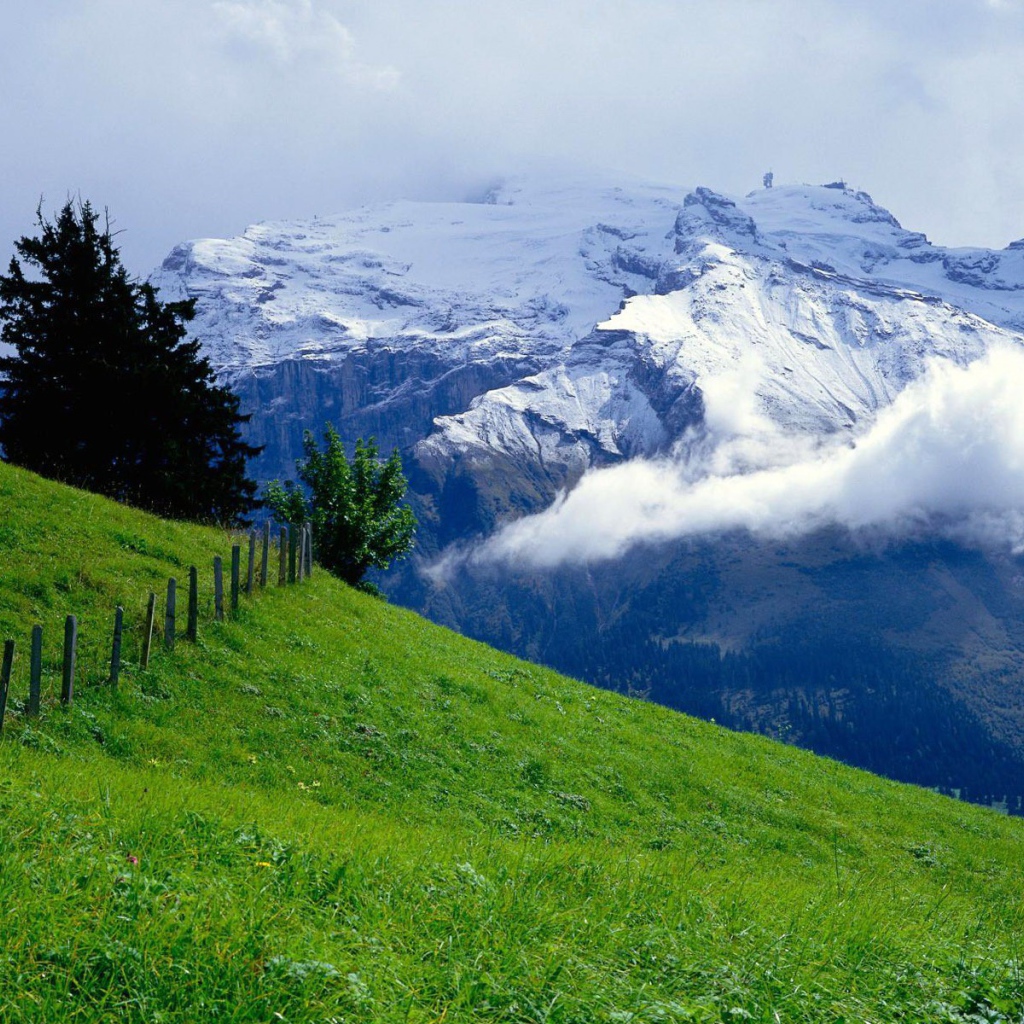 Зеленый луг и снежные горы