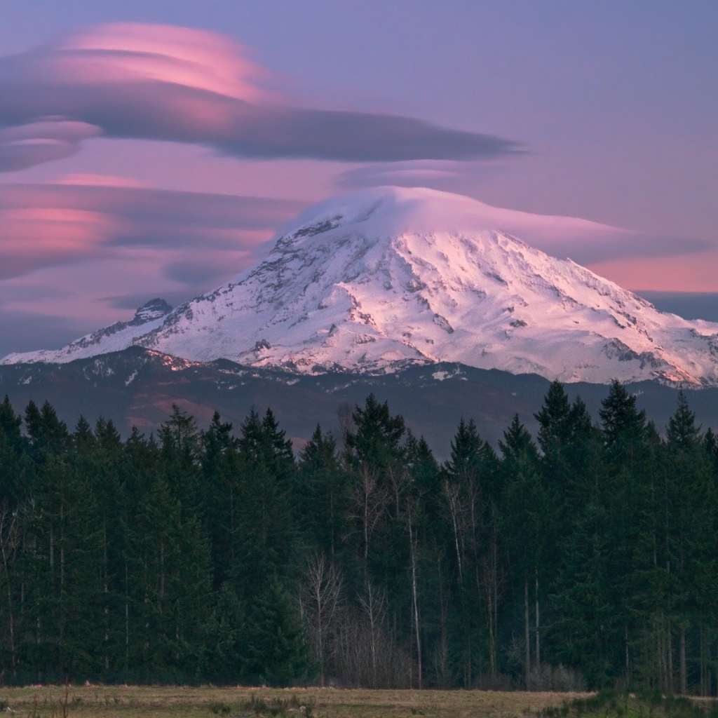 Гора Райнер в Сиетле